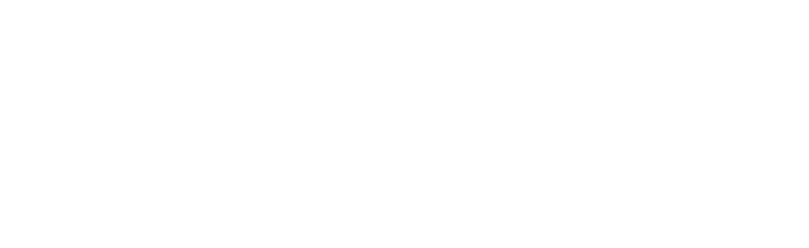 Basic Fund logo